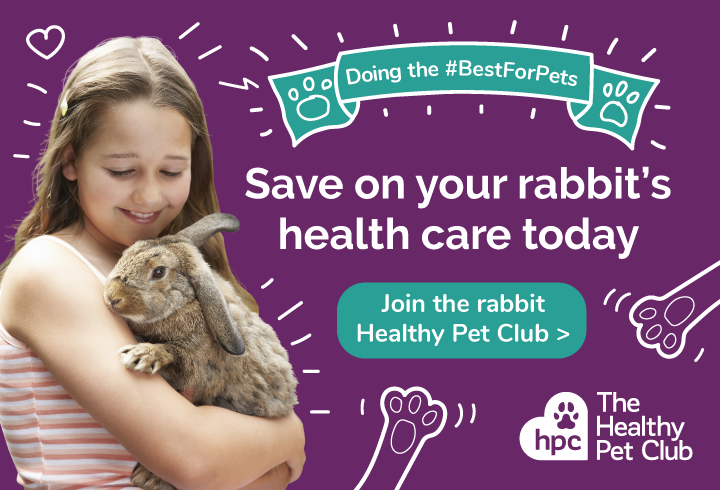 Join the rabbit Healthy Pet Club today