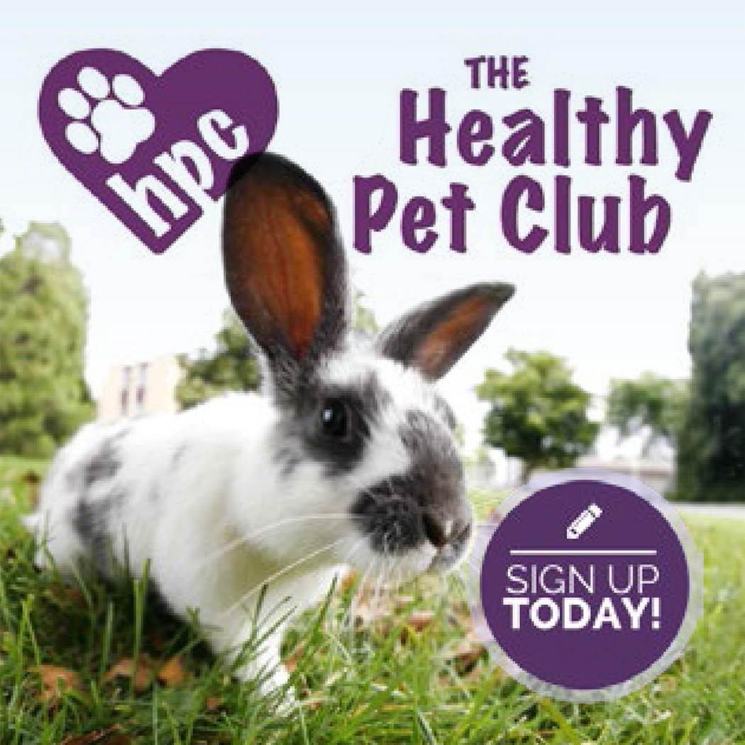 Healthy Pet Feed Store Newbury Park at Marion Helgeson blog