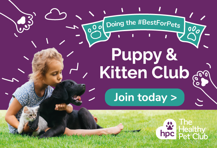 Join the puppy and kitten Healthy Pet Club today